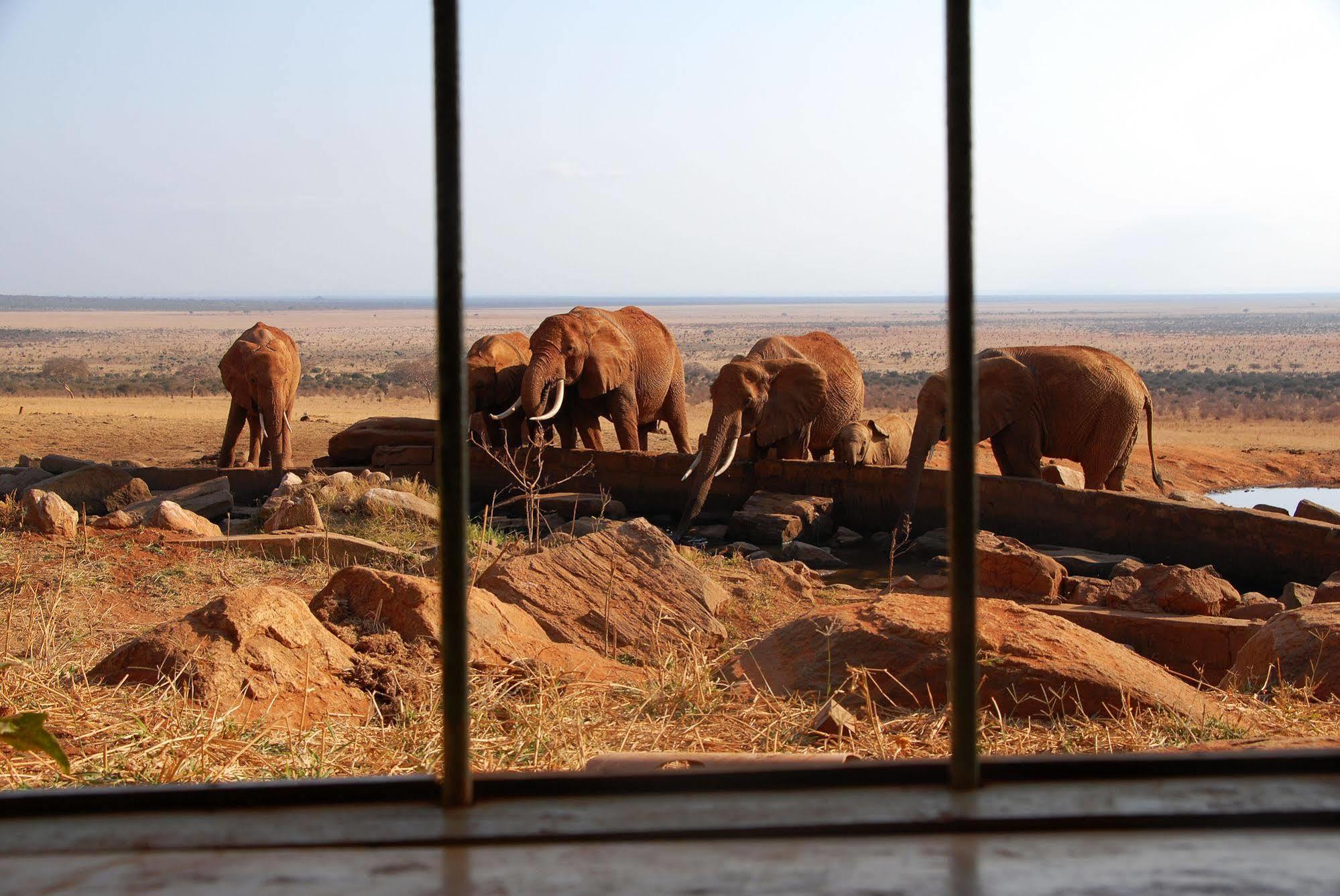 Voi Safari Lodge Екстериор снимка